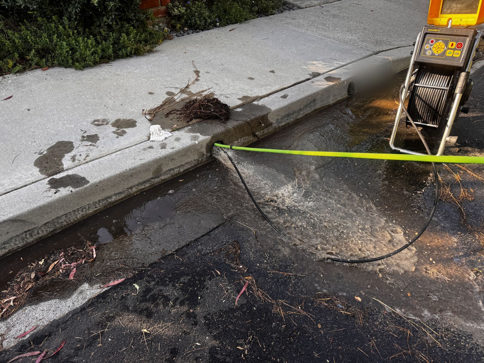 Hydro jetter hose flushing a yard drain line out through a curb outlet