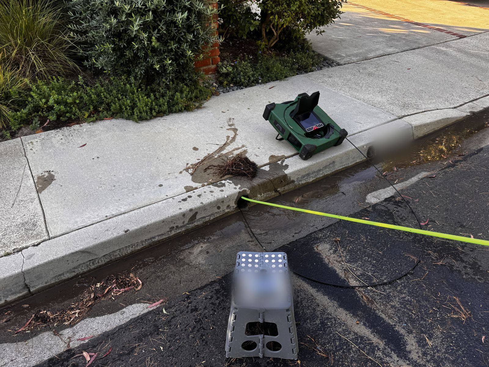Tangle of roots on a sidewalk beside a curb outlet, with a drain inspection camera on the curb