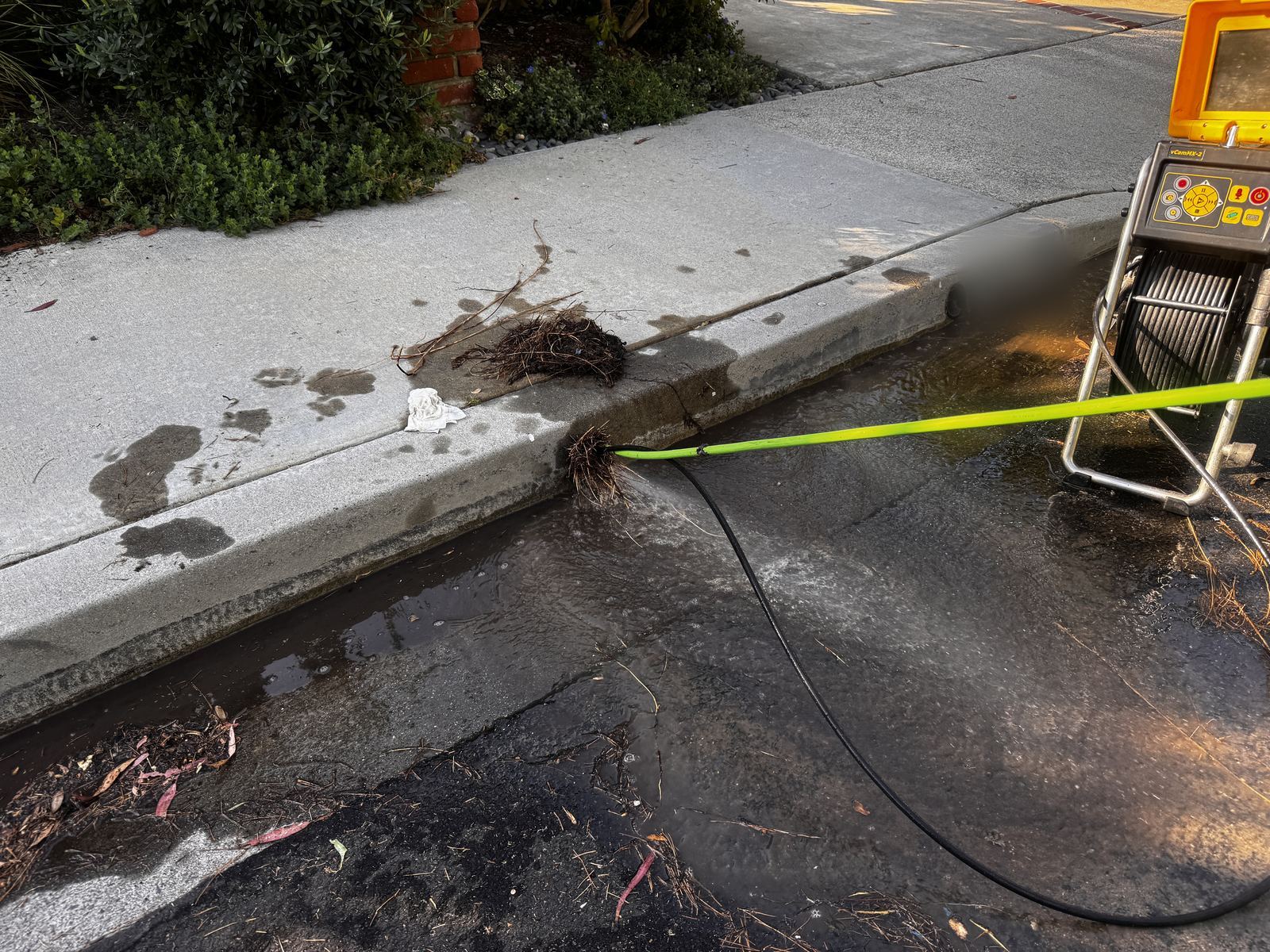Root mass being forced out of a curb drain outlet by a hydro jetter hose